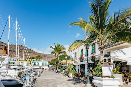 Ab Las Palmas: Tagestour zu den Schätzen Gran Canarias