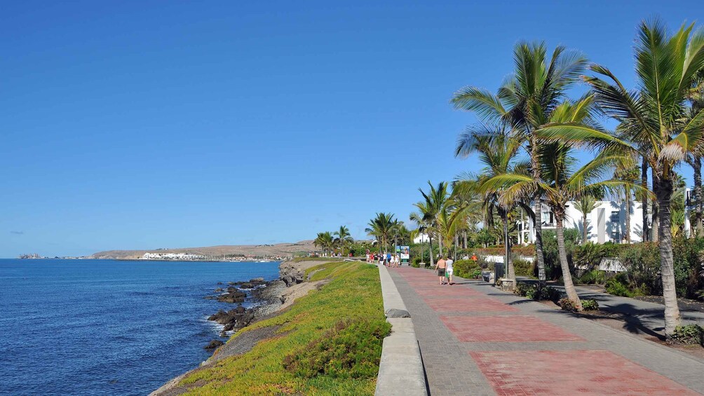 Picture 9 for Activity Maspalomas: 1 to 7-Day Mountain Bike Rental