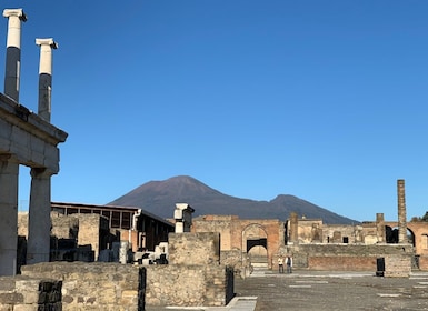 Napoli: Tour di Pompei e Napoli di un'intera giornata con biglietti