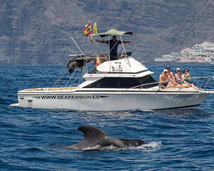 Picture 7 for Activity From San Juan beach : Marine Life Cruise