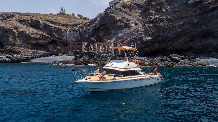 From San Juan beach : Marine Life Cruise