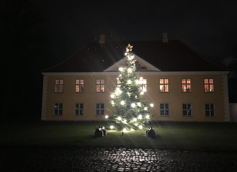 Picture 6 for Activity Copenhagen: Christmas and City Highlights Segway Tour