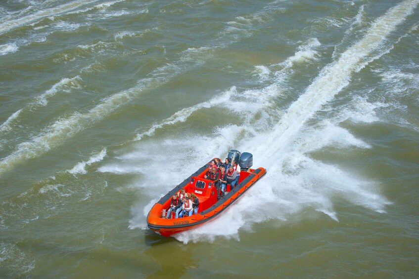 Picture 2 for Activity Rotterdam: Private Maas River Speedboat Cruise