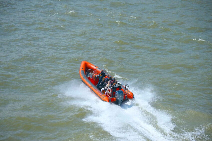 Picture 4 for Activity Rotterdam: Private Maas River Speedboat Cruise