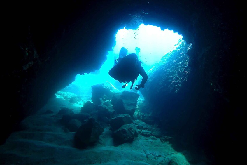 Picture 7 for Activity Scuba Diving in Dubrovnik: 1 Dive for Certified Divers