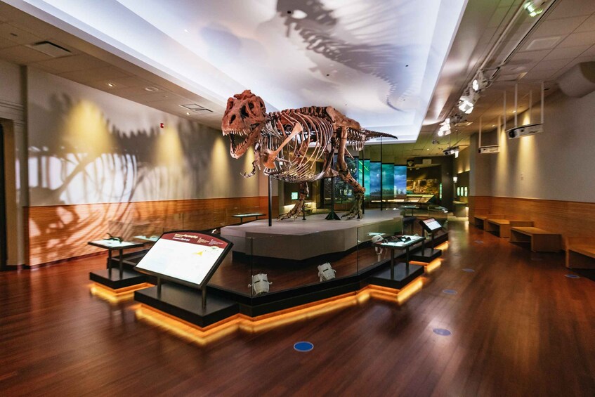 Picture 15 for Activity Chicago: Field Museum of Natural History Ticket or VIP Tour