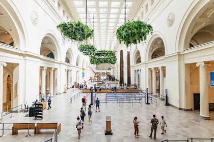 Chicago: entrada al Museo Field de Historia Natural o visita VIP