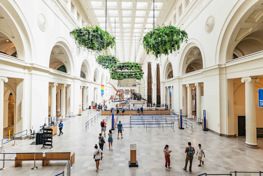 Chicago: Field Museum of Natural History Ticket or VIP Tour
