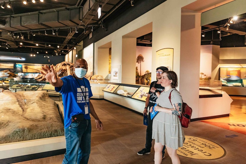 Picture 13 for Activity Chicago: Field Museum of Natural History Ticket or VIP Tour