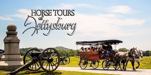 Gettysburg: Horse-Drawn Carriage Battlefield Tour