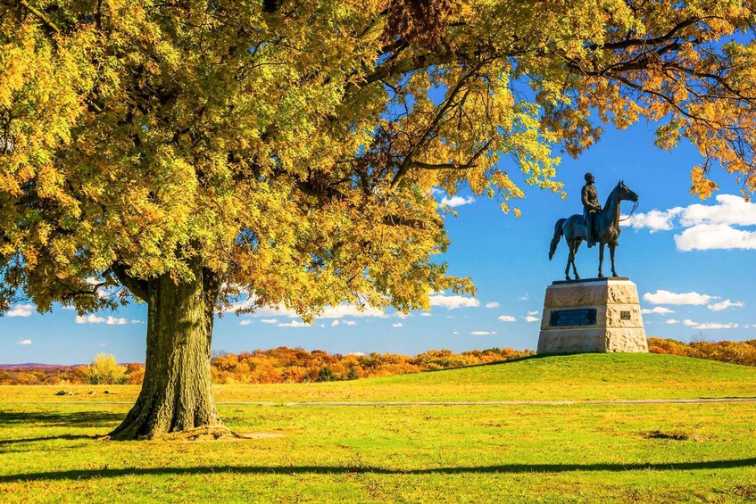 Picture 5 for Activity Gettysburg: Horse-Drawn Carriage Battlefield Tour