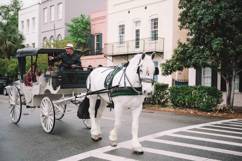 Picture 7 for Activity Charleston: Private Carriage Ride