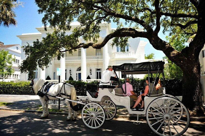 Picture 3 for Activity Charleston, SC: Private Daytime Carriage Ride