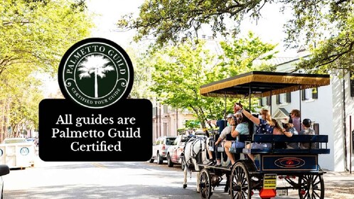 Charleston: Private Carriage Ride