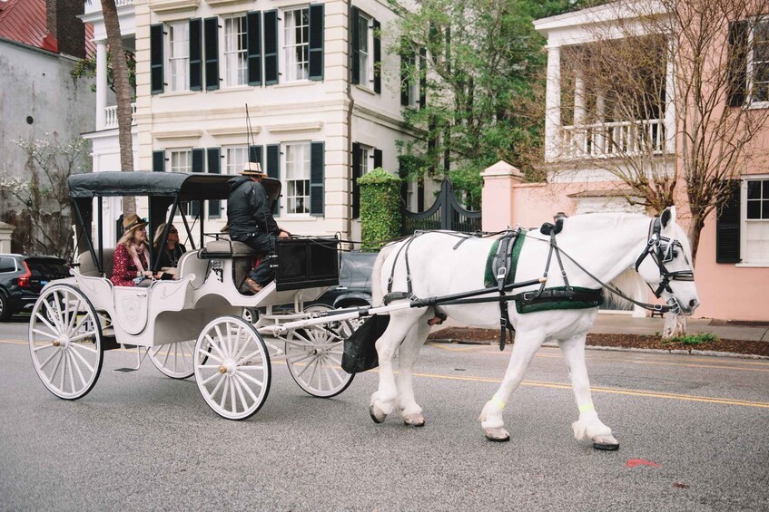 Picture 6 for Activity Charleston: Private Carriage Ride