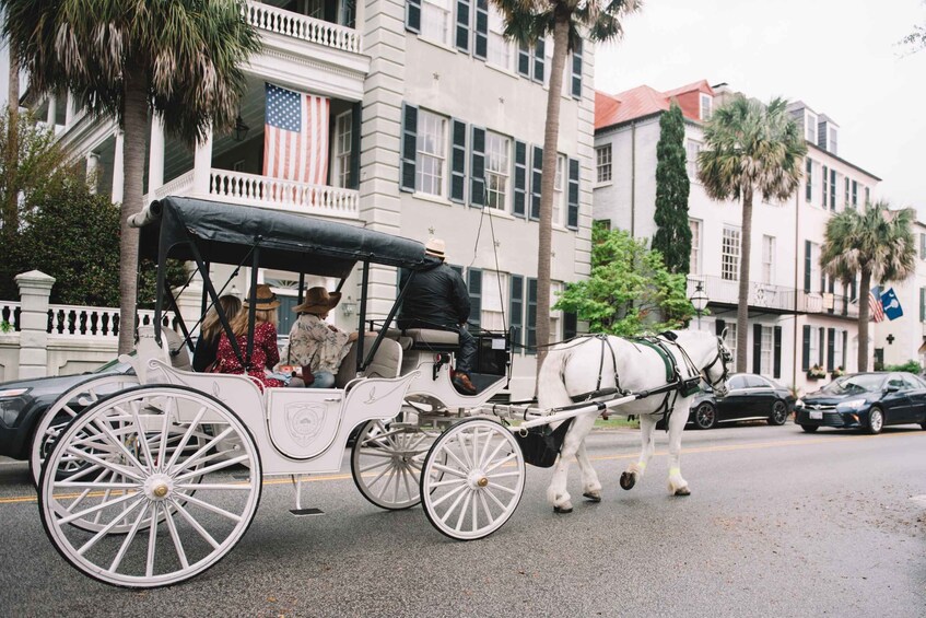 Picture 4 for Activity Charleston, SC: Private Daytime Carriage Ride