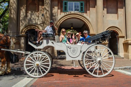 Charleston, SC: Private Daytime Horse-Drawn Carriage Ride