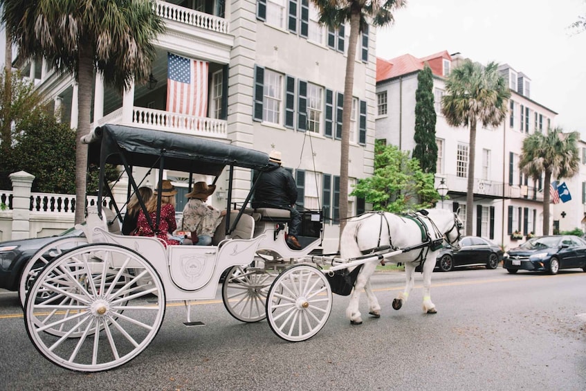 Picture 6 for Activity Charleston: Private Carriage Ride