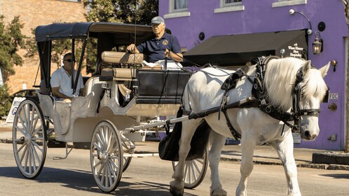 チャールストン（サウスカロライナ州）：昼間のプライベート馬車ライド