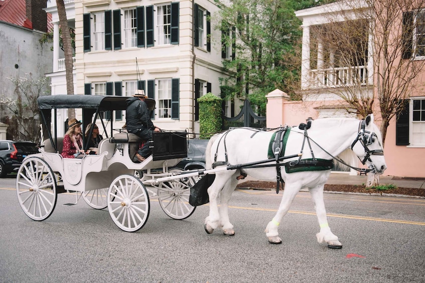 Picture 6 for Activity Charleston, SC: Private Daytime Carriage Ride