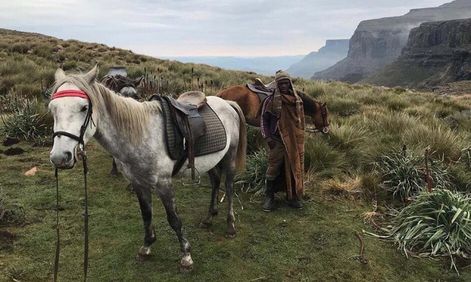 Picture 7 for Activity From Durban: Sani Pass, Lesotho and Basotho Village Day Trip