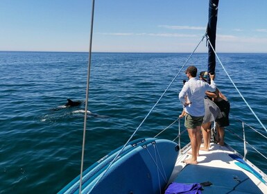 Vilamoura: crucero por la costa en un velero de lujo