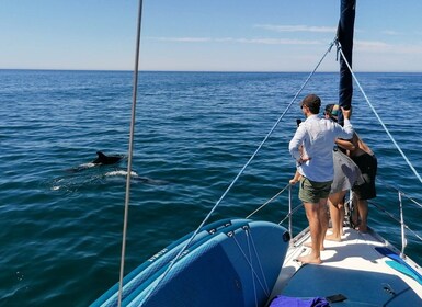 Vilamoura : Croisière côtière à bord d'un voilier de luxe