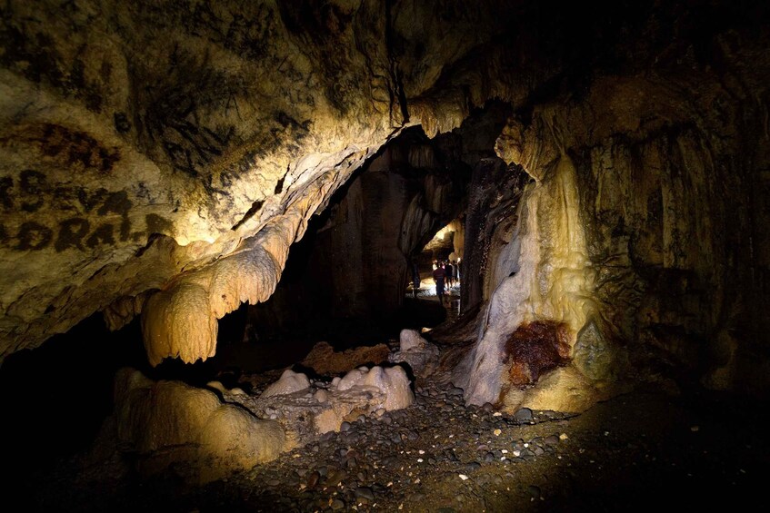 Picture 6 for Activity Nadi: Fijian Off-Road Cave Safari in Sigatoka