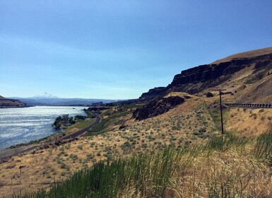 Portland: tour de día completo por el vino y las cascadas de Mount Hood