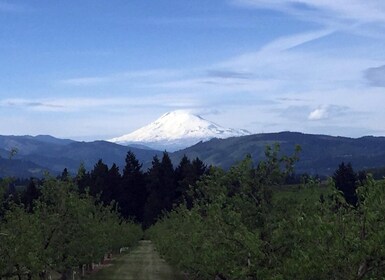 Portland: Mount Hood Wine and Waterfalls Full-Day Tour