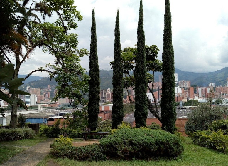 Picture 8 for Activity Medellín: Private Pablo Escobar Tour with Cable Car Ride