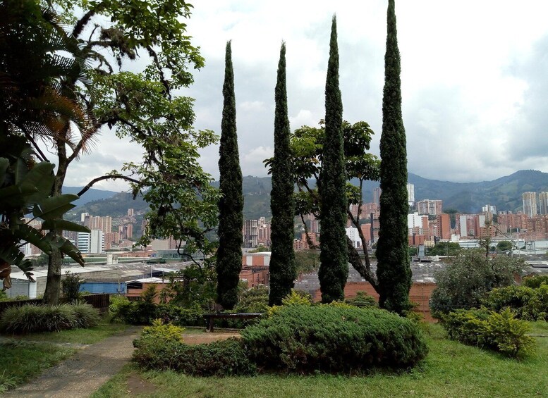 Picture 8 for Activity Medellín: Private Pablo Escobar Tour with Cable Car Ride