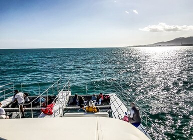 Malaga: Catamaran Cruise with Optional Swimming Stop