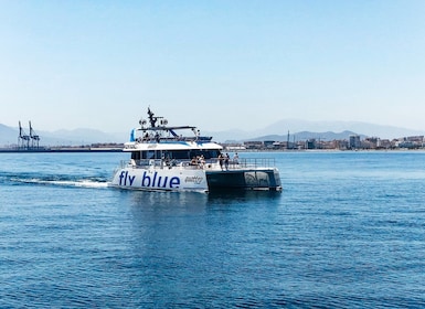 Malaga : Croisière catamaran avec arrêt de natation en option