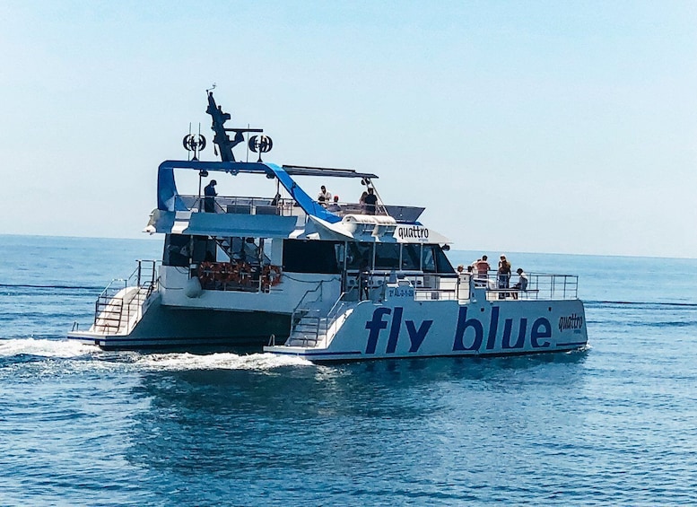 Picture 6 for Activity Malaga: Catamaran Cruise with Optional Swimming Stop