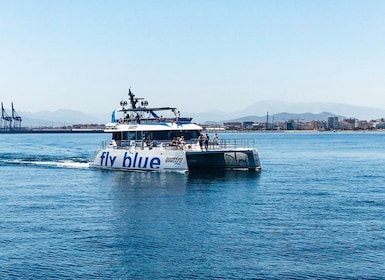 Malaga : croisière en catamaran avec arrêt baignade en option