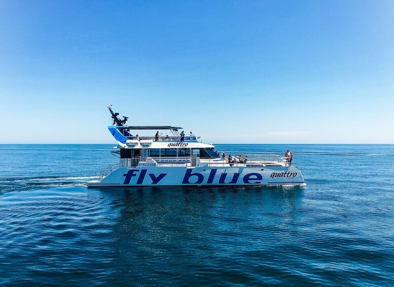 Picture 5 for Activity Malaga: Catamaran Cruise with Optional Swimming Stop