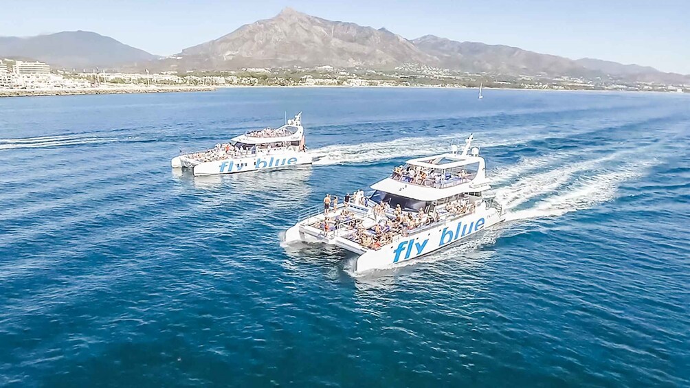 Picture 14 for Activity Malaga: Catamaran Cruise with Optional Swimming Stop