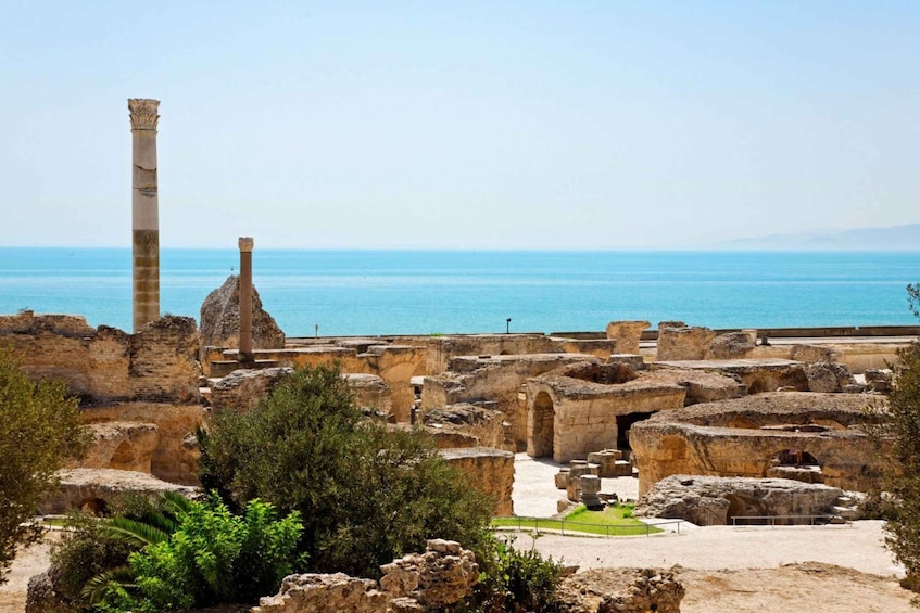 From Sousse: Day Trip to Carthage, Sidi Bou Said, La médina