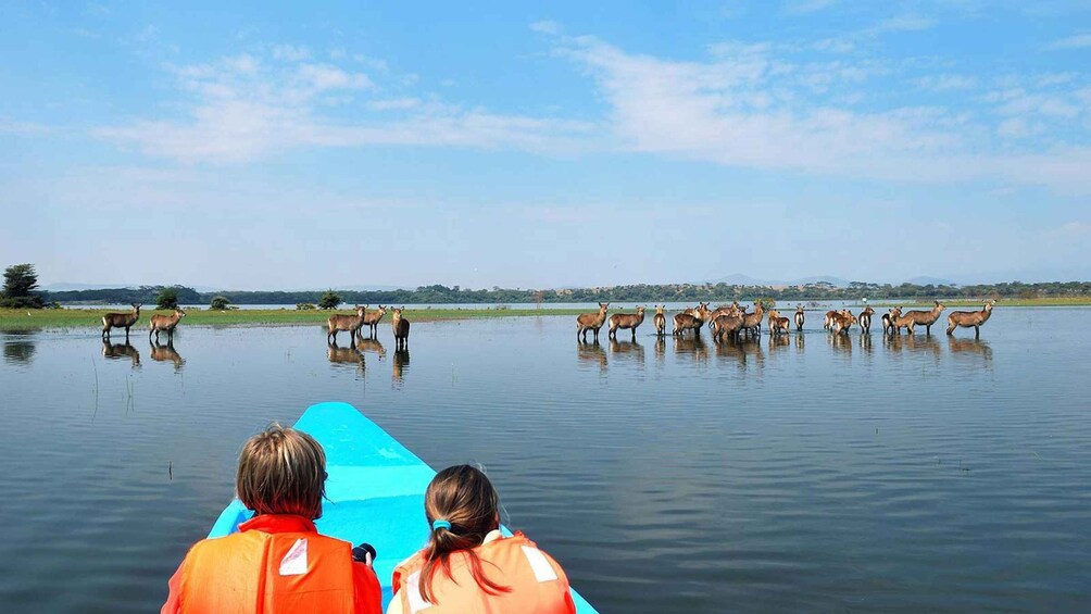 Picture 1 for Activity From Nairobi: Lakes Nakuru & Naivasha National Park Day Tour