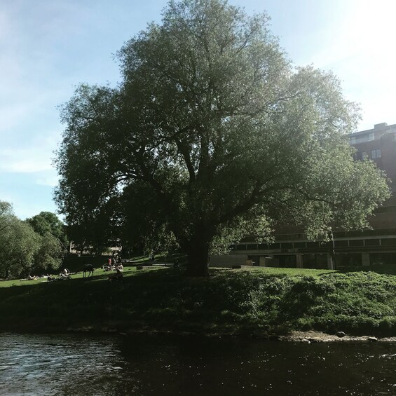 Picture 3 for Activity Oslo: Riverwalk and Norwegian Food Tasting