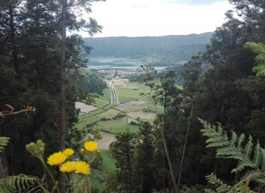 Desde Ponta Delgada: paseo, degustación y kayak de Sete Cidades