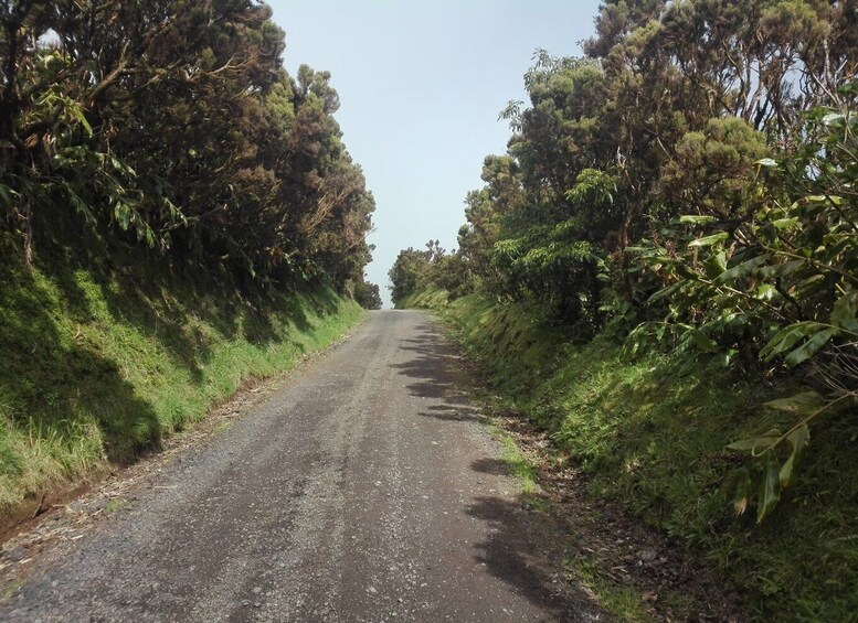 Picture 4 for Activity From Ponta Delgada: Sete Cidades Walk, Tasting and Kayaking