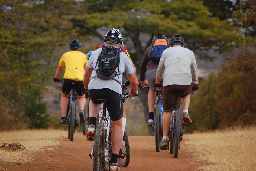 Picture 7 for Activity Moshi: Kilimanjaro Bike Park Safari