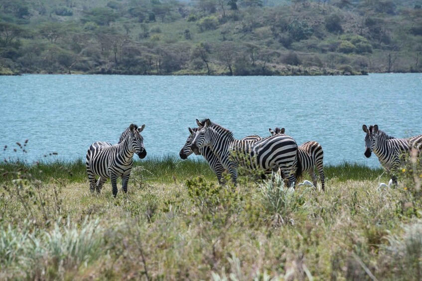 Picture 3 for Activity Moshi: Kilimanjaro Bike Park Safari