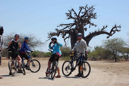 Moshi : Safari dans le parc à vélo du Kilimandjaro