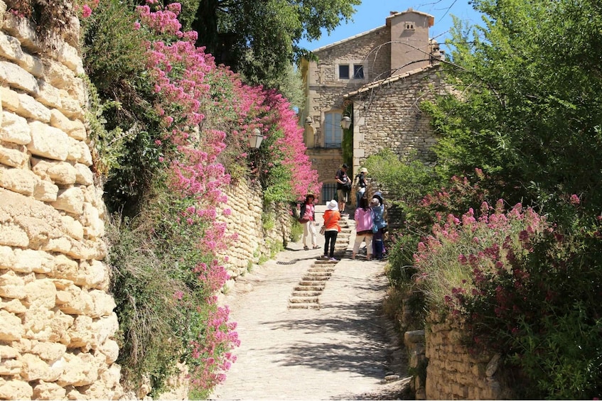 Picture 2 for Activity Avignon: Luberon Valley Tour with Wine and Cheese Tasting