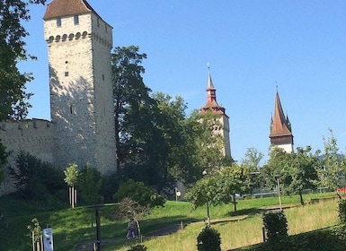 Lucerne : Visite guidée classique de la ville