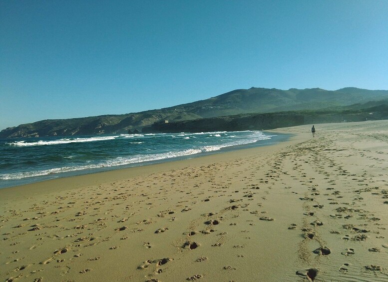 Picture 11 for Activity From Lisbon: Sintra and Cascais Natural Park Private Tour