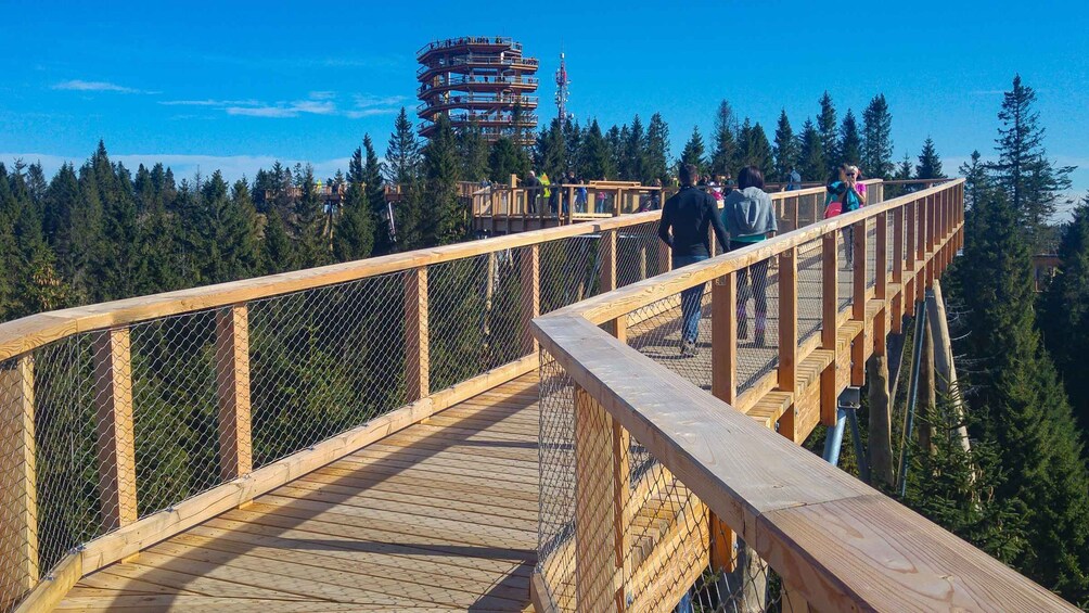 Picture 5 for Activity Dunajec River Gorge Rafting and Tree Top Walk from Krakow